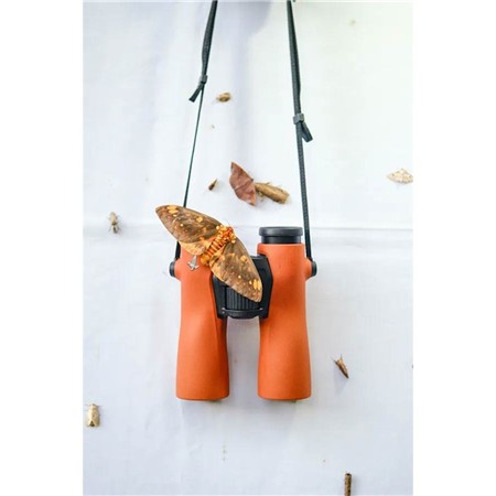 12X42 BINOCULARS SWAROVSKI NL PURE - BURNT ORANGE