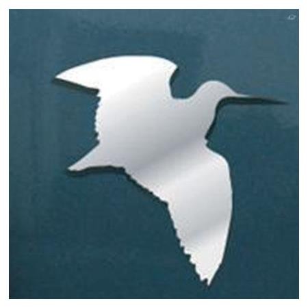 3D Chrome Logo Roc Import Woodcock