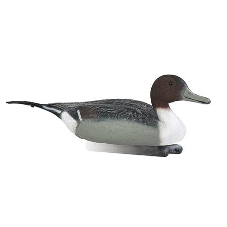 Aanlokker Stepland Pilet Mâle Moussé Hd