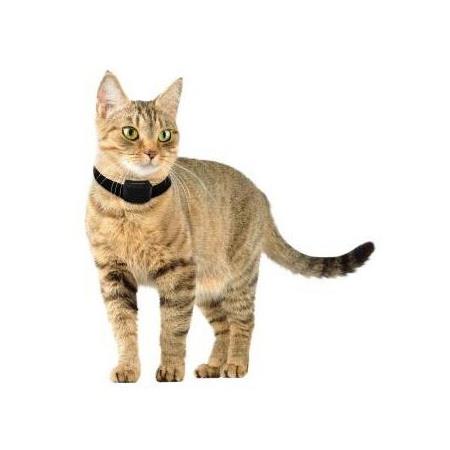 AANVULLENDE HALSBAND NUMAXES CANIFUGUE SMALL