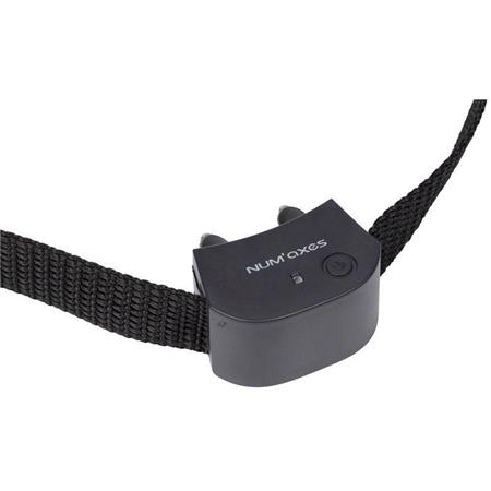 Aanvullende Halsband Numaxes Canifugue Small