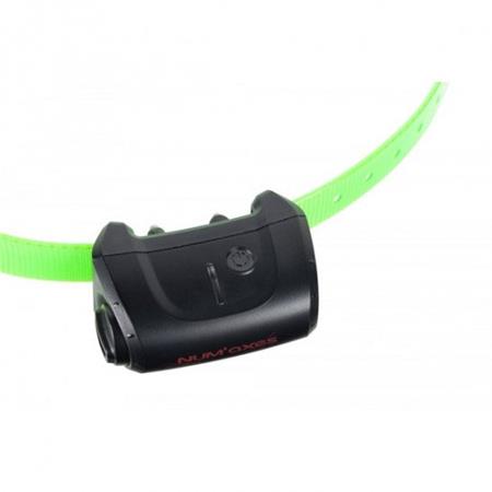 AANVULLENDE HALSBAND NUMAXES VOOR CANICOM 5