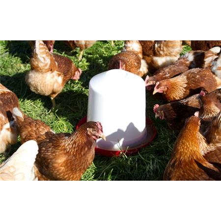 ABREUVOIR PVC KERBL POUR POULE