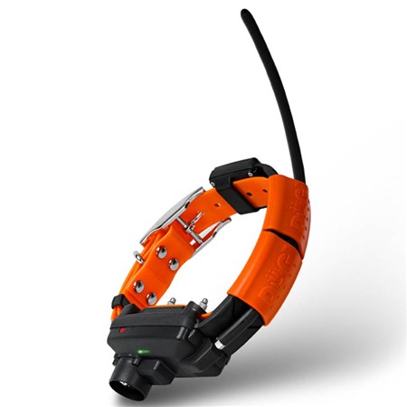 Additional Tracking Collar Dog Trace X25 Dressage + Beeper