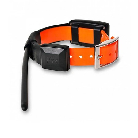 ADDITIONAL TRAINING COLLAR DOG TRACE GPS X20 SHORT