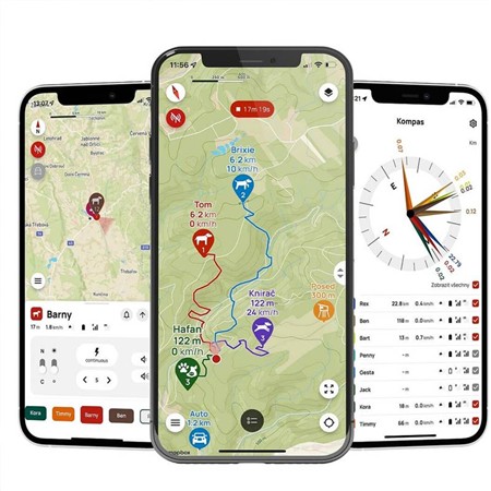 ADDITIONAL TRAINING COLLAR DOG TRACE X30 + BEEPER