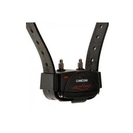 ADDITIONAL TRAINING COLLAR NUMAXES CANICOM
