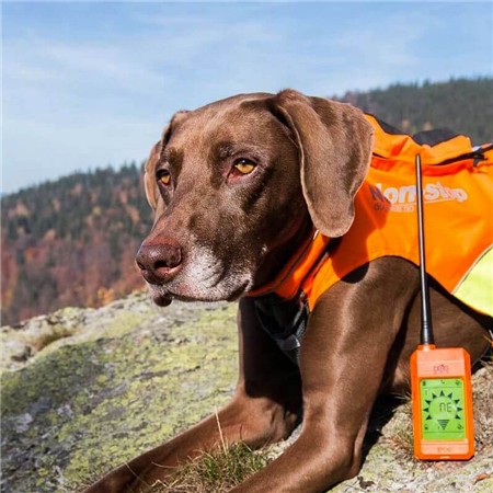 ALLEEN AFSTANDSBEDIENING DOG TRACE GPS X20