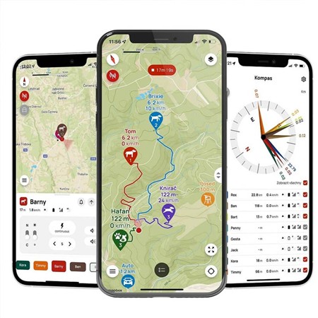 ALLEEN AFSTANDSBEDIENING DOG TRACE GPS X30