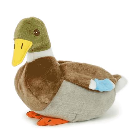 Anatra Nature De Brenne