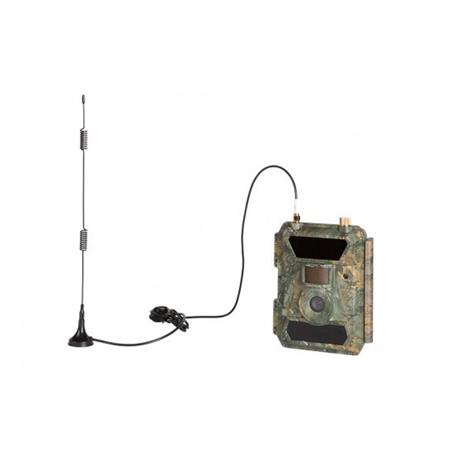 ANTENNA DEPORTATA NUMAXES