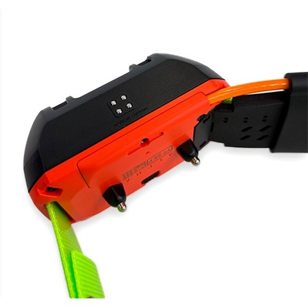 ANTENNA VENOR RANTECH DOG POUR COLLIER GARMIN / DOGTRA