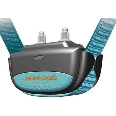 Anti-Bell-Halsband Numaxes Iki Pulse