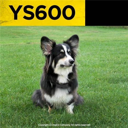ANTIGØHALSBÅND DOGTRA TIL STORE HUNDE YS600