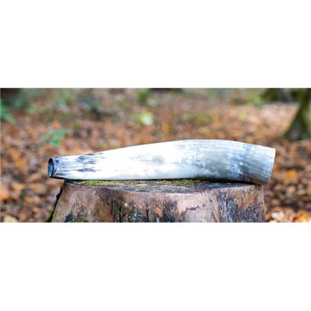 APITO WEISSKIRCHEN CERF EN CORNE DE BOEUF