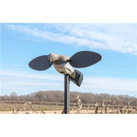 Appelant Mojo Elite Series - Tourterelle