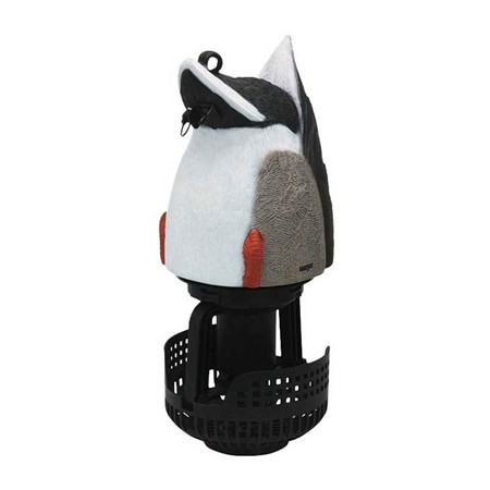 Appelant Mojo Machine - Colverts