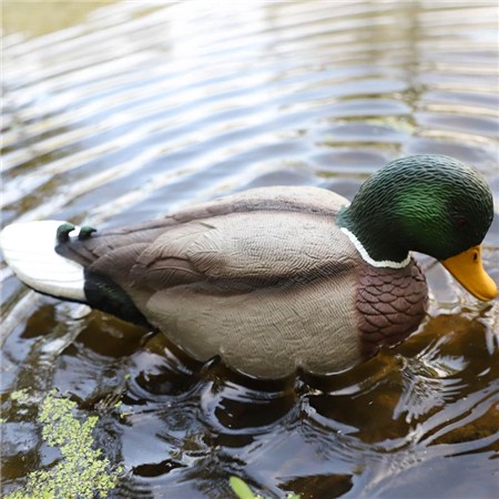 APPELANT MOJO RIPPLER 2 - COLVERT