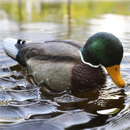 APPELANT MOJO RIPPLER 2 - COLVERT