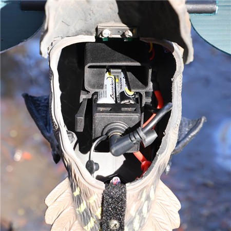 APPELANT MOJO - SARCELLE D'HIVER