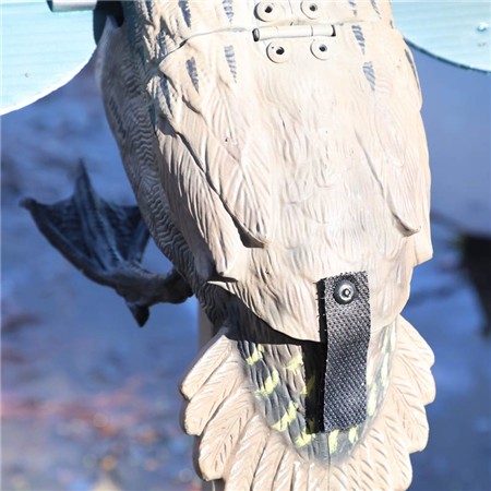 APPELANT MOJO - SARCELLE D'HIVER