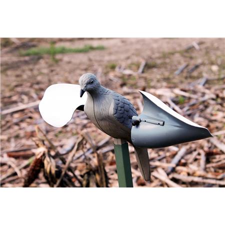 Appelant Mojo - Tourterelle