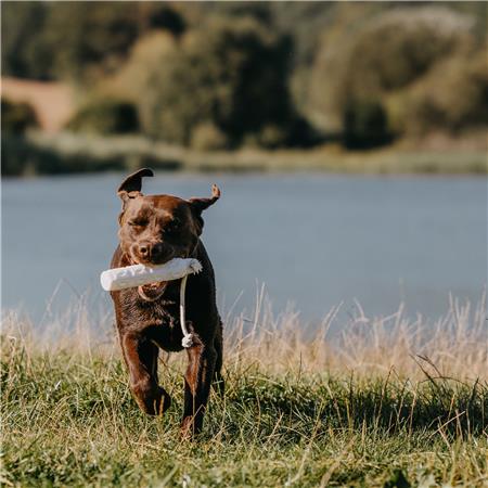 APPORTIERDUMMY EUROHUNT BUMBER HP&G