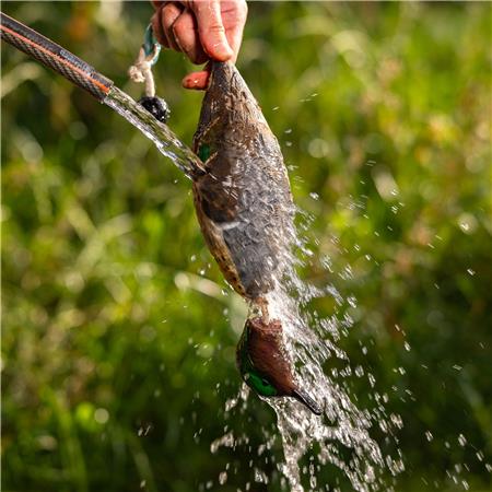 APPORTIERDUMMY EUROHUNT SARCELLE HP&G