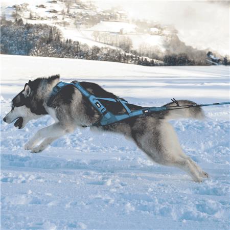 ARNÊS I-DOG CANICROSS X-BACK PHOENIX RÉGLABLE - BLEU