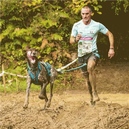 ARNÊS I-DOG CANICROSS X-BACK PHOENIX RÉGLABLE - BLEU