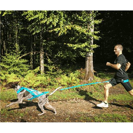 ARNÊS I-DOG CANICROSS X-BACK PHOENIX RÉGLABLE - BLEU