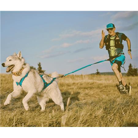 ARNÊS I-DOG CANICROSS X-BACK PHOENIX RÉGLABLE - BLEU