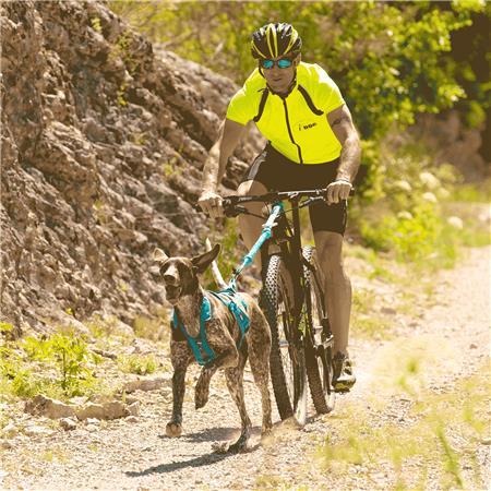 ARNÊS I-DOG CANICROSS X-BACK PHOENIX RÉGLABLE - BLEU