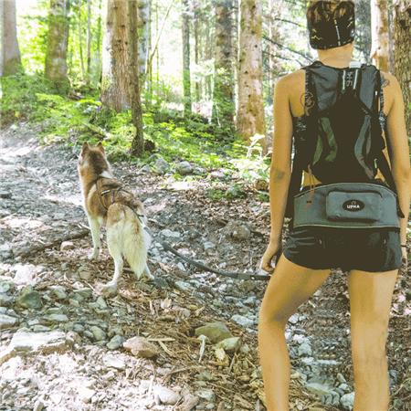 ARNÊS I-DOG COM MOSQUETÃO STYLE GAMME UPKA