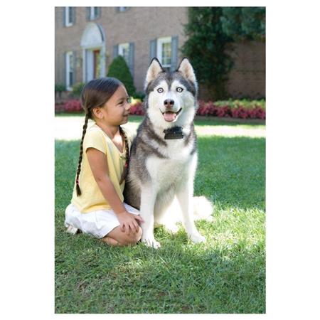 AUSBRUCHSICHERER ZAUN PETSAFE SUPER RADIO FENCE