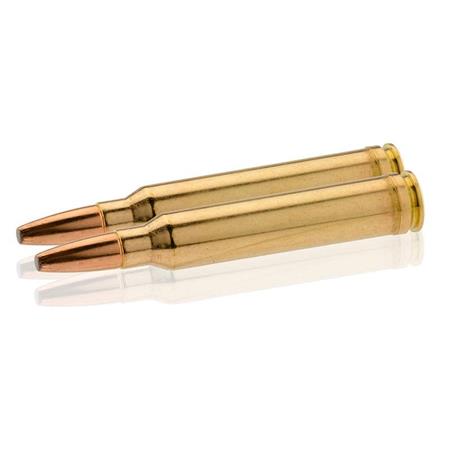 BALLE DE CHASSE NORMA PPDC - 181GR - CALIBRE 300 WIN MAG