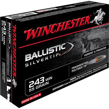 Balle De Chasse Winchester Ballistic Silvertip - 55Gr - Calibre 243 Win