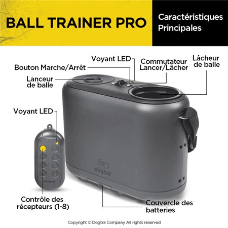 BALLENWERPER DOGTRA BALL TRAINER