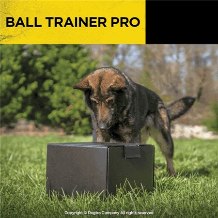 BALLENWERPER DOGTRA BALL TRAINER