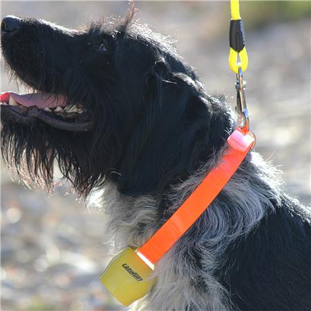 BELL COLLAR CANIHUNT ALP