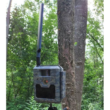 BESLAG TIL VILDTKAMERA ICU TREE SCREW