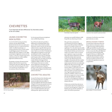 BIEN DÉTERMINER L’ÂGE DES GRANDS GIBIERS