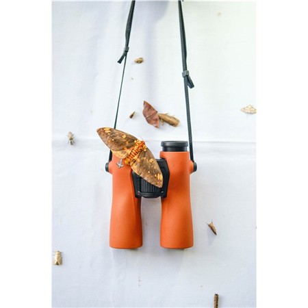 BINÓCULOS 10X42 SWAROVSKI NL PURE - LARANJA QUEIMADA