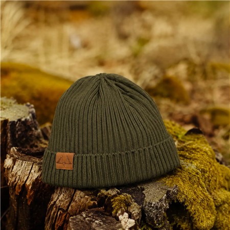 BONNET SWEDTEAM TITAN WOOL BEANIE - VERT