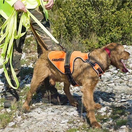 BRUSTGESCHIRR CANIHUNT HUND SIGNAL