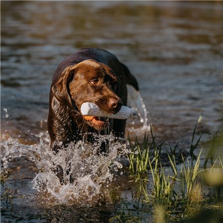 BUMPER EUROHUNT BUMBER HP&G