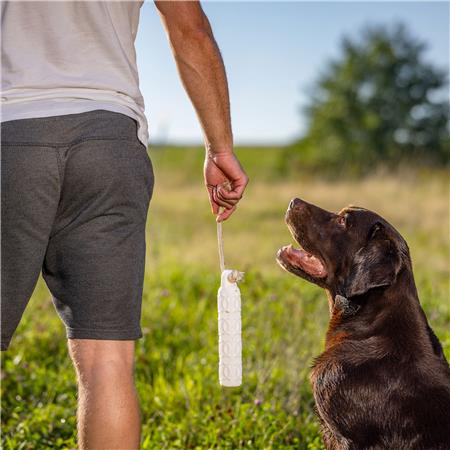 BUMPER EUROHUNT BUMBER HP&G