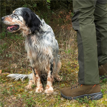 BUTY MĘSKIE CHIRUCA SEQUOIA GORE-TEX - KHAKI