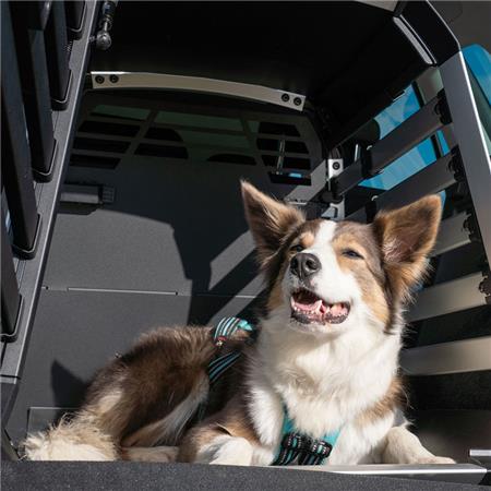 CAJA DE TRANSPORTE THULE PARA PERRO THULE ALLAX