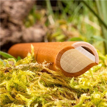 CALL WEISSKIRCHEN RENARD APPEL D'ACCOUPLEMENT